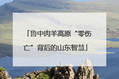 鲁中肉羊高原“零伤亡”背后的山东智慧